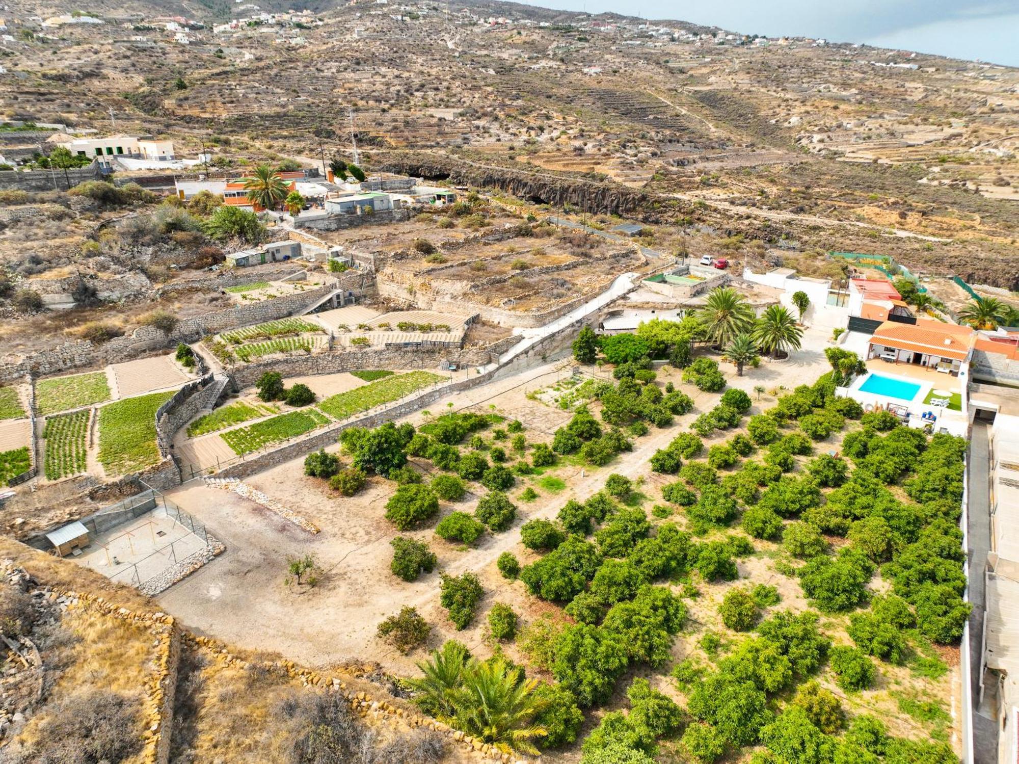 Private House With Pool & Garden Villa Güimar Eksteriør bilde